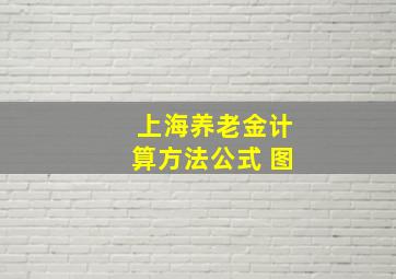 上海养老金计算方法公式 图